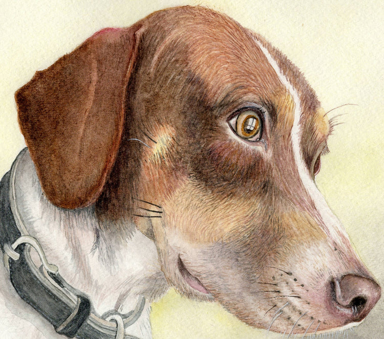 watercolor portrait of