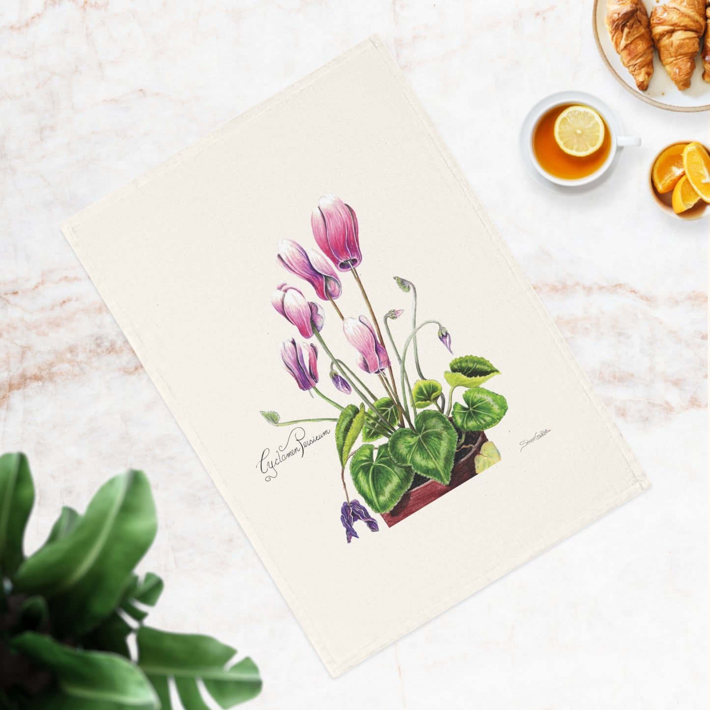 Botanic Art Cotton Tea Towel - Cyclamen Persicum Flower