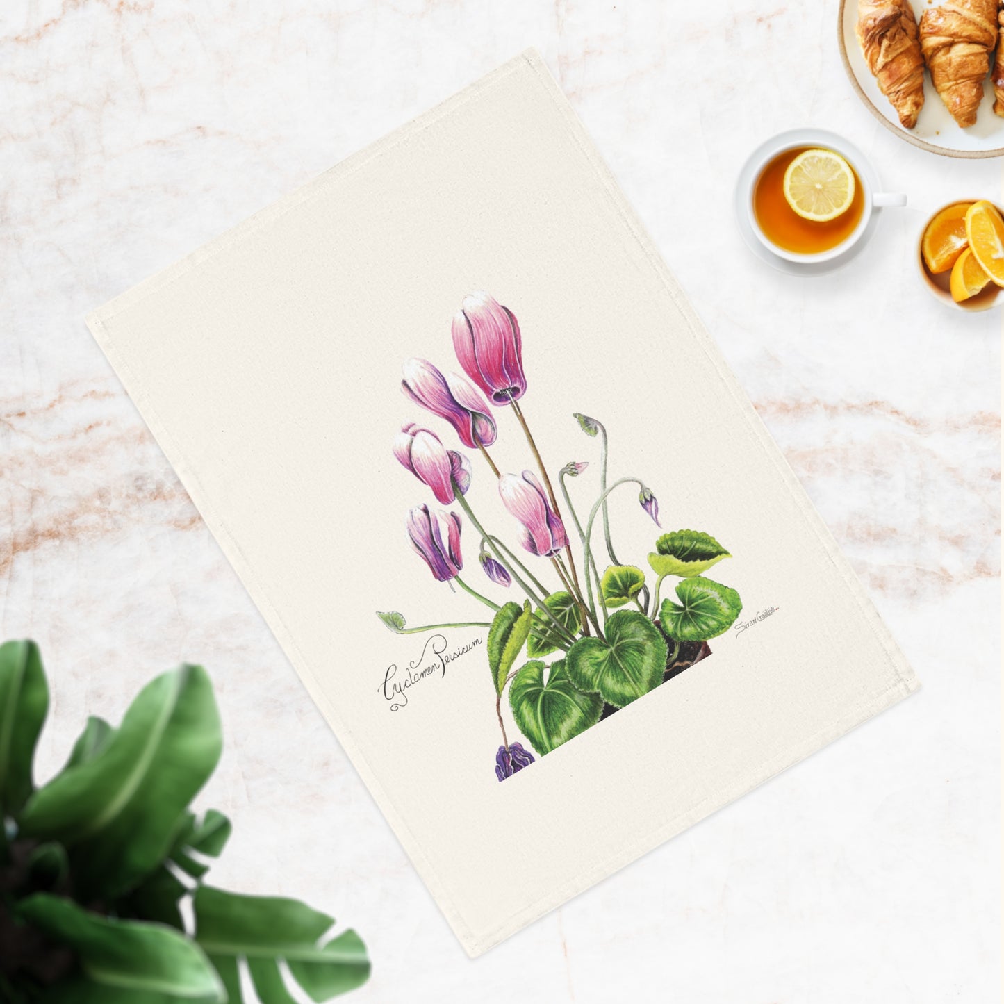 Botanic Art Cotton Tea Towel - Cyclamen Persicum Flower