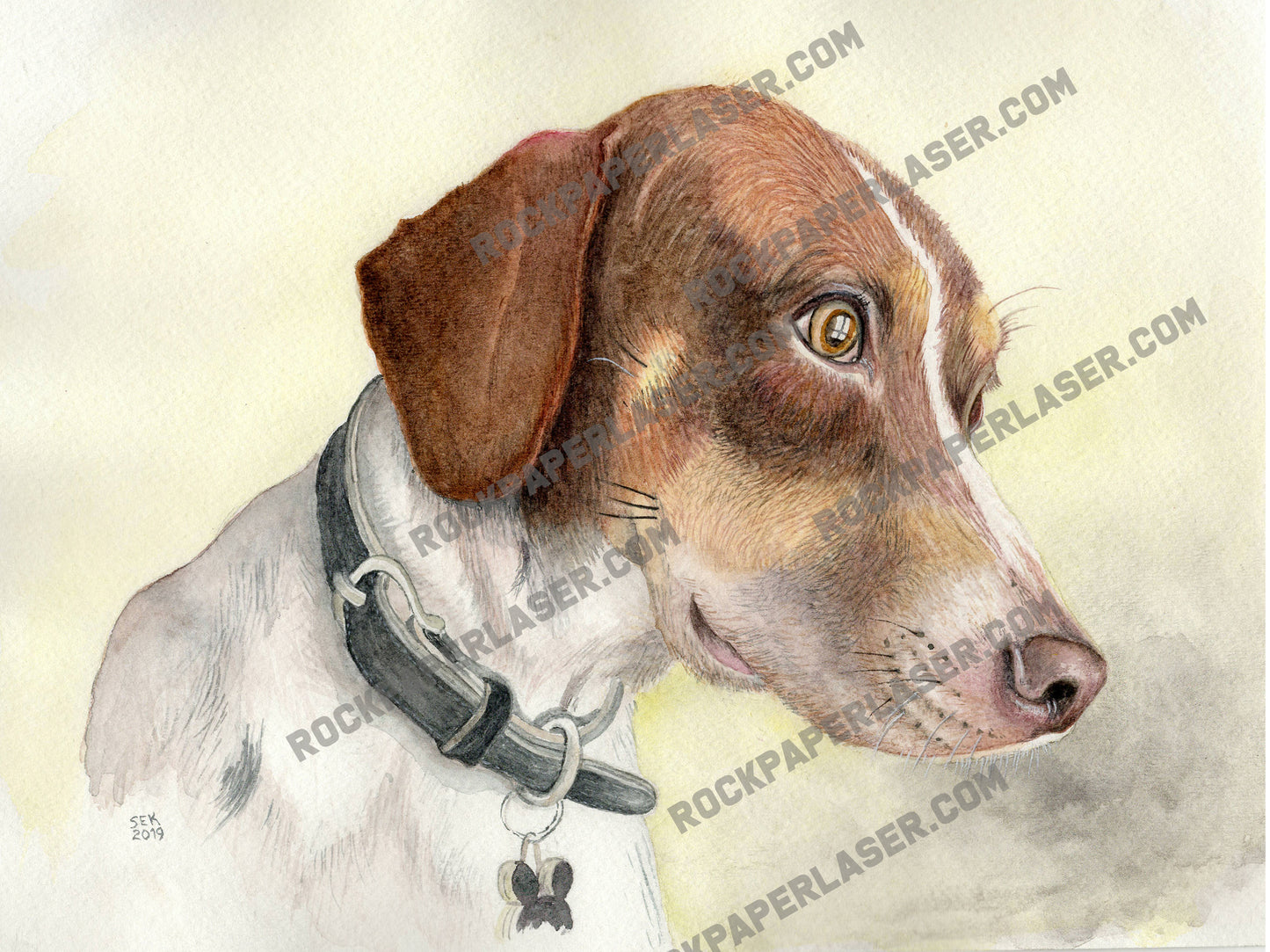 Custom Watercolor Pet Portraits