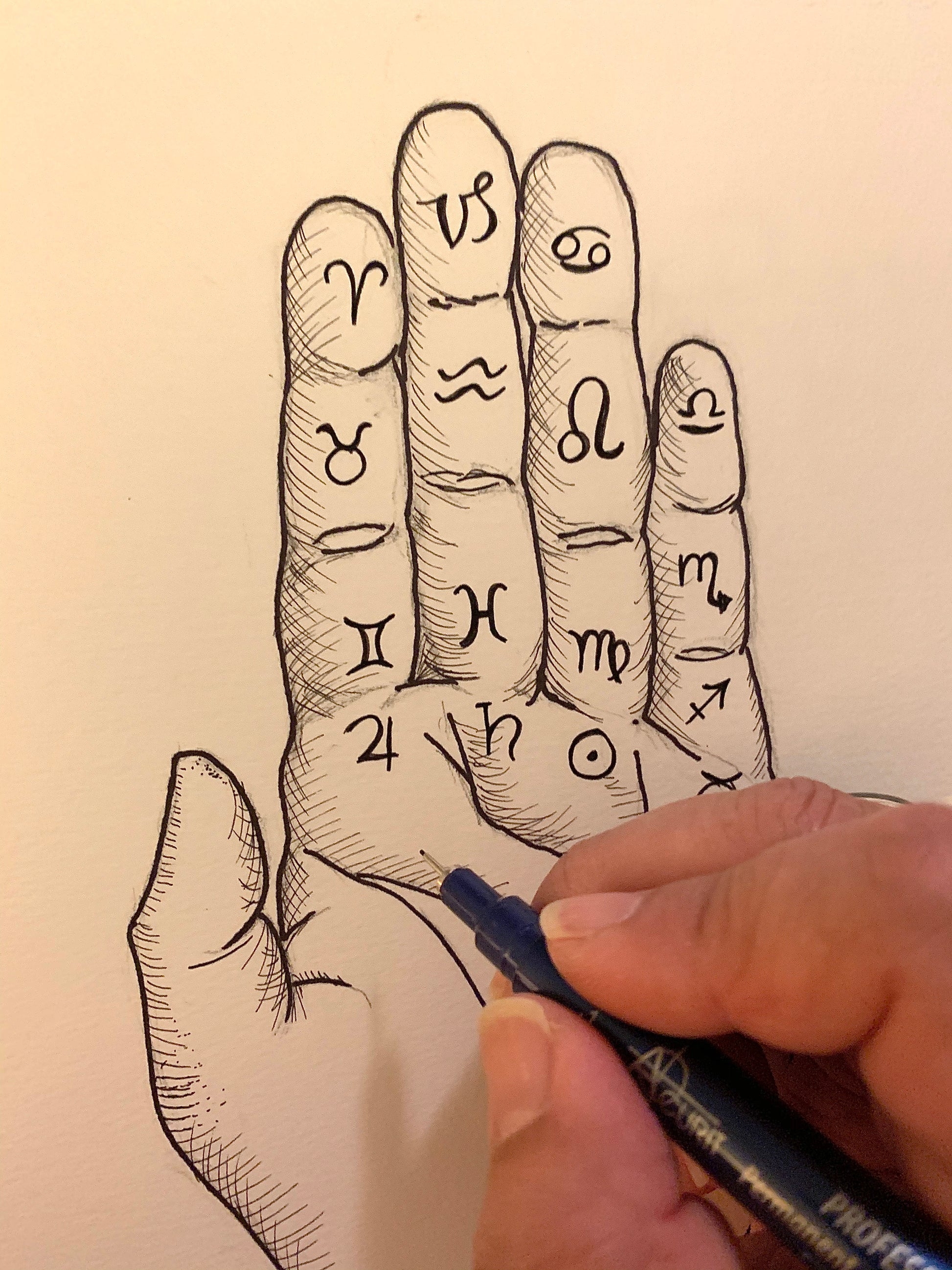 Palmistry Drawing Sylvia Klimicek