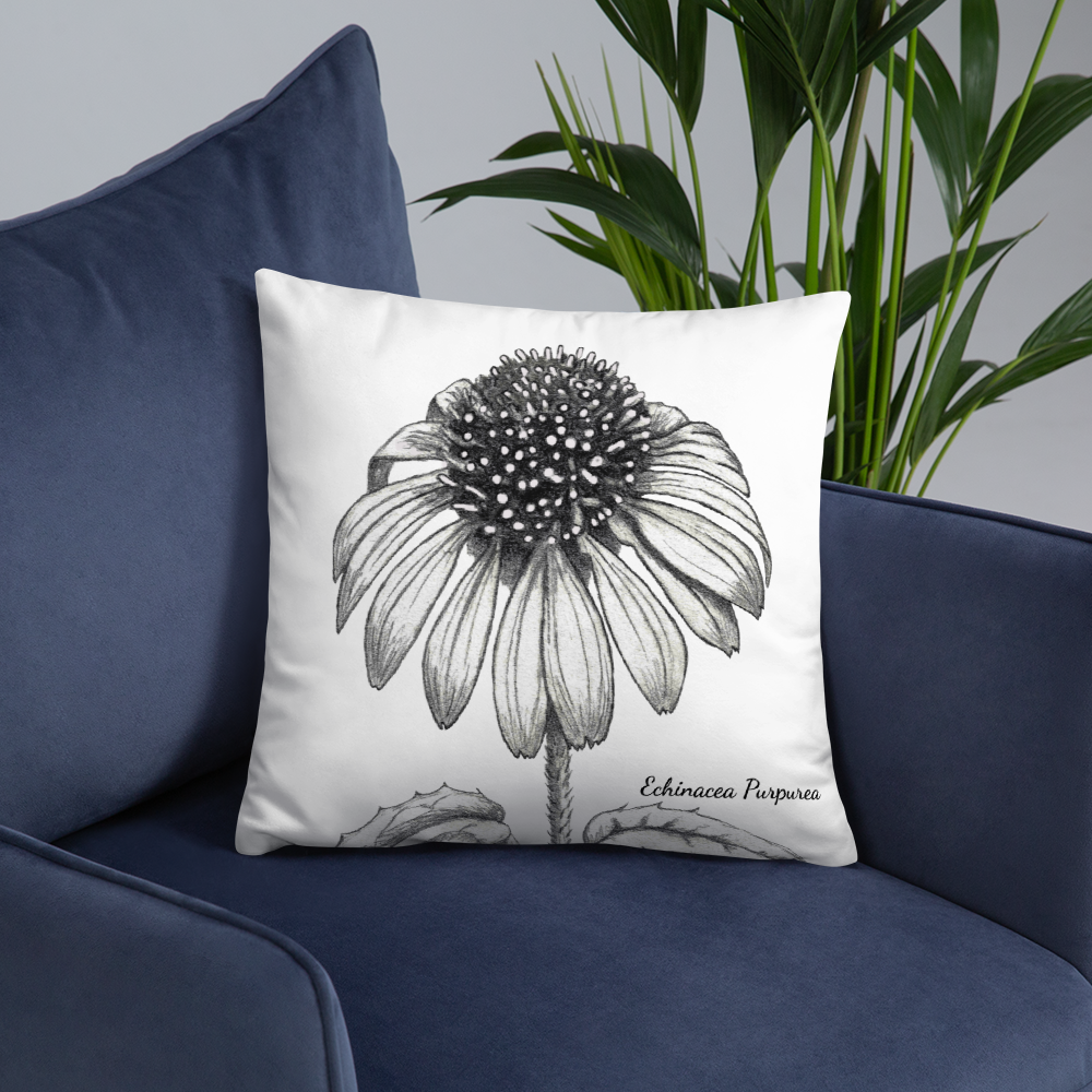 Botanical Print Pillow - Echinacea Purpurea - Accent Pillow