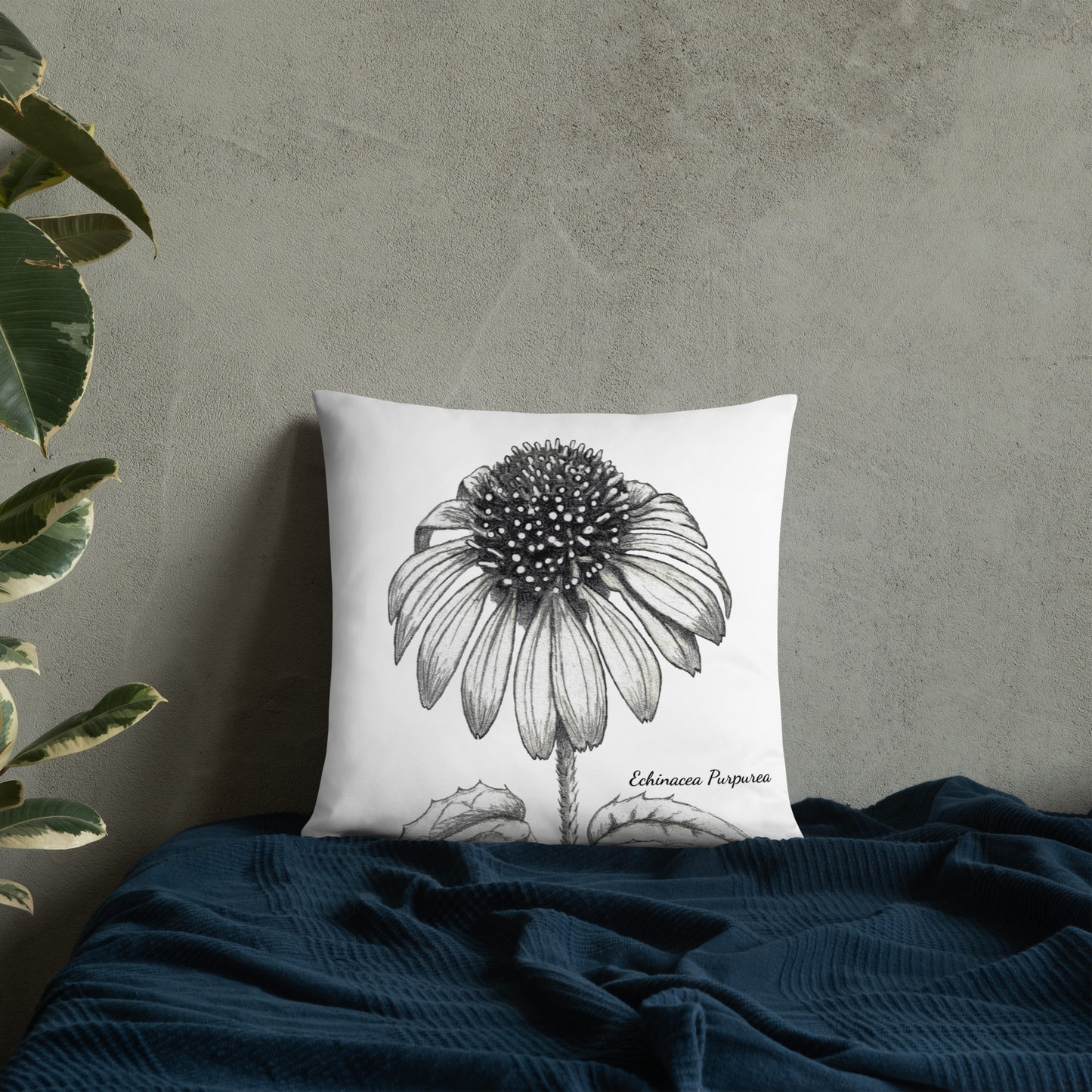 Botanical Print Pillow - Echinacea Purpurea - Accent Pillow