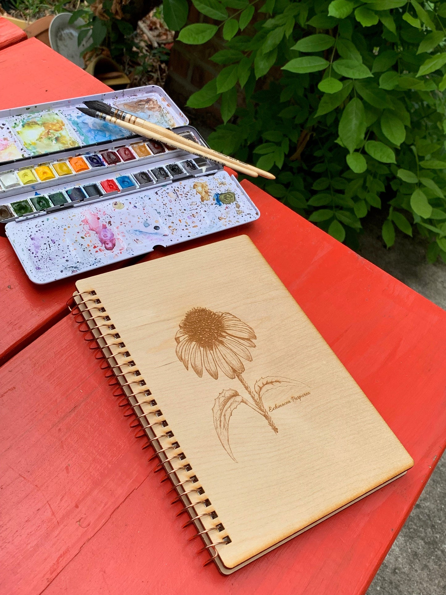 Wooden Watercolor Journal - Botanical - Echinacea